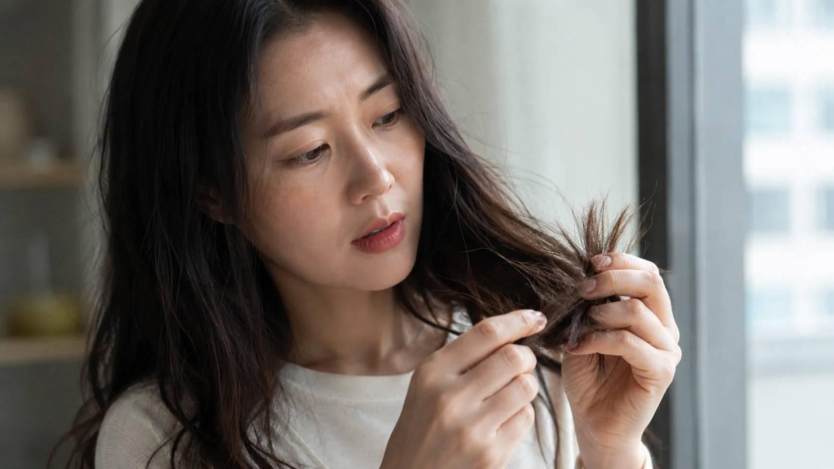 손상모 관리